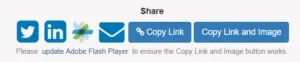 Link Page Share Options